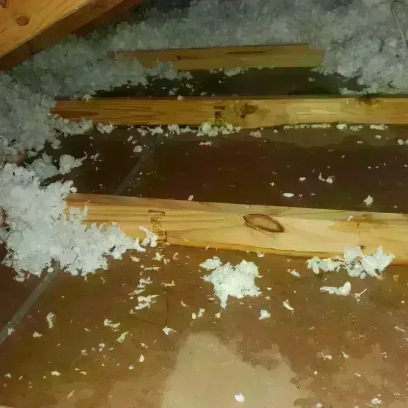 Attic Water Damage in Stafford, TX