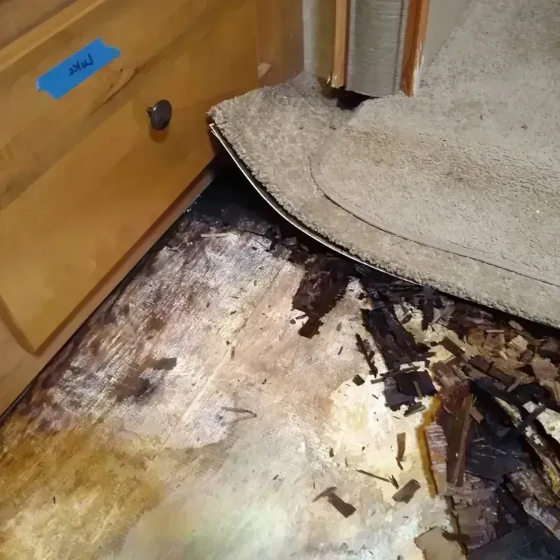 Wood Floor Water Damage in Stafford, TX